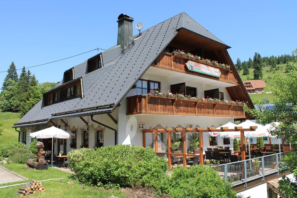 Hotel & Restaurant Gruener Baum - Die Gruene Oase Am Feldberg Feldberg  Exterior photo