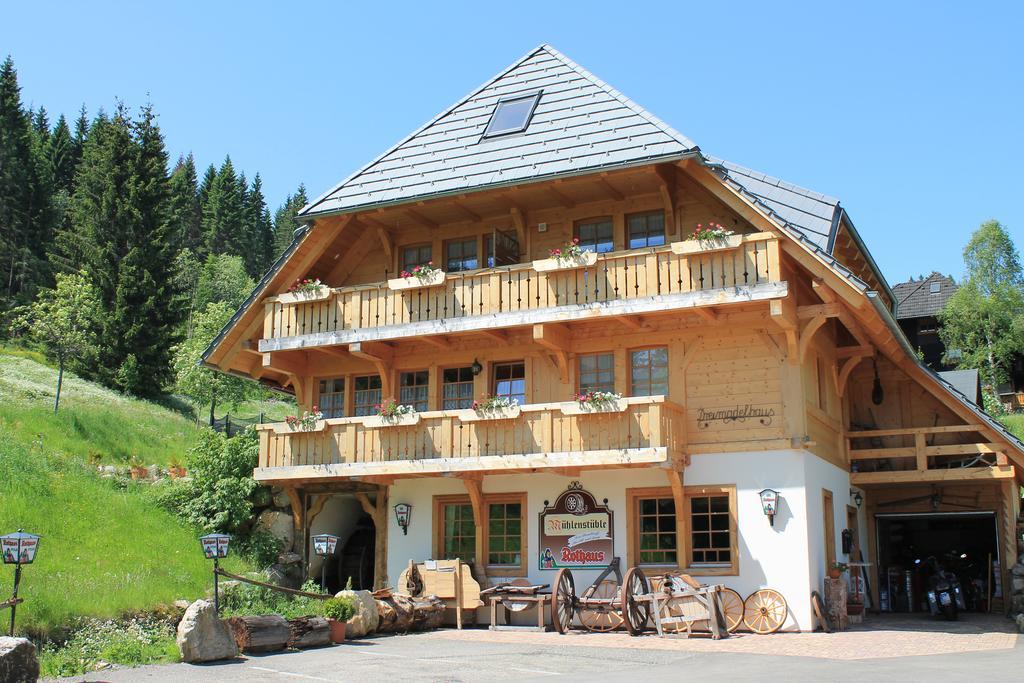 Hotel & Restaurant Gruener Baum - Die Gruene Oase Am Feldberg Feldberg  Exterior photo